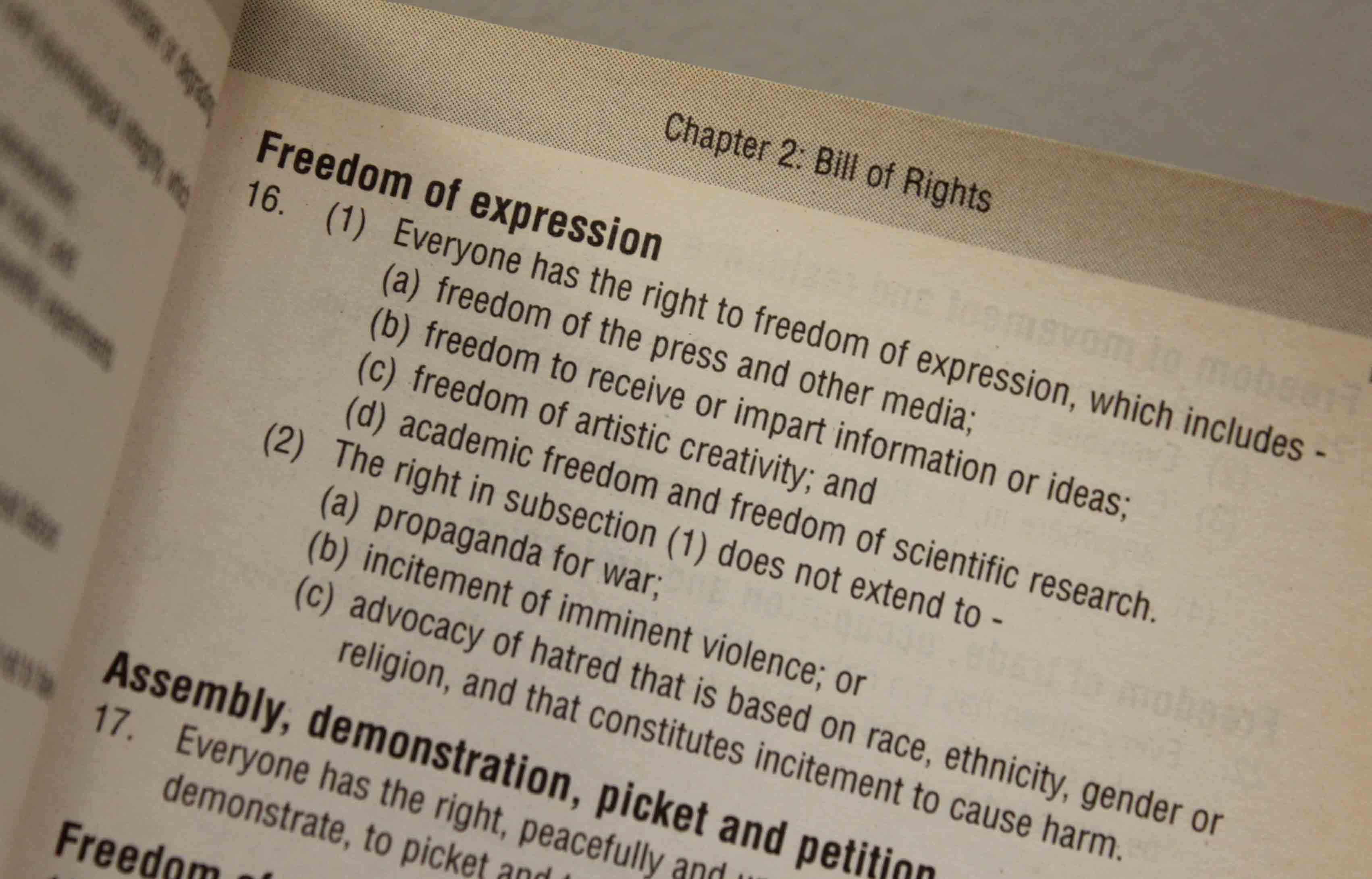 The Absolute Right of Free Speech Essay Sample