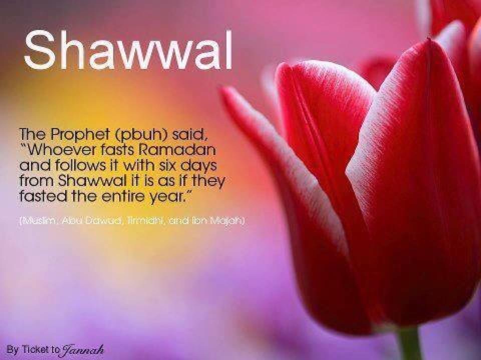 The significance of of Shawwal Voice of the Cape